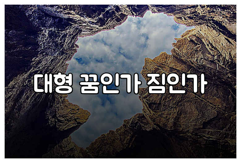 대형 꿈인가 짐인가