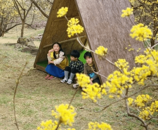 이천백사 산수유 