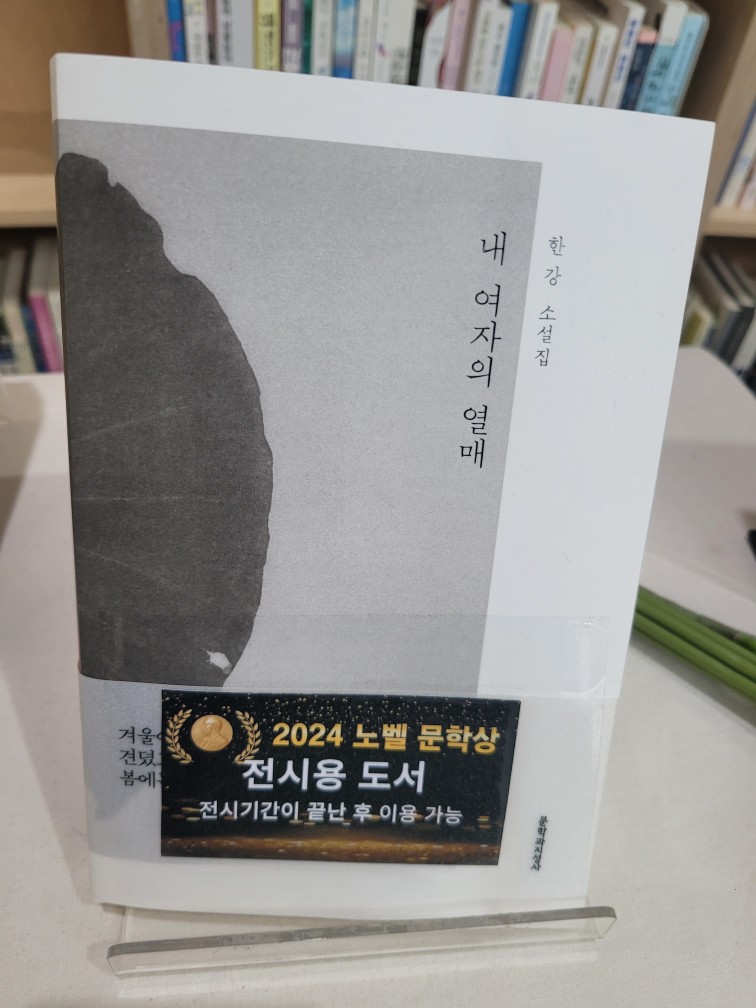 한강 작가의 작품 시간 순서대로 정리