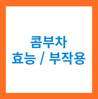 콤부차 효능과 카페인&#44; 부작용 (다이어트 효과만 있는게 아니다)