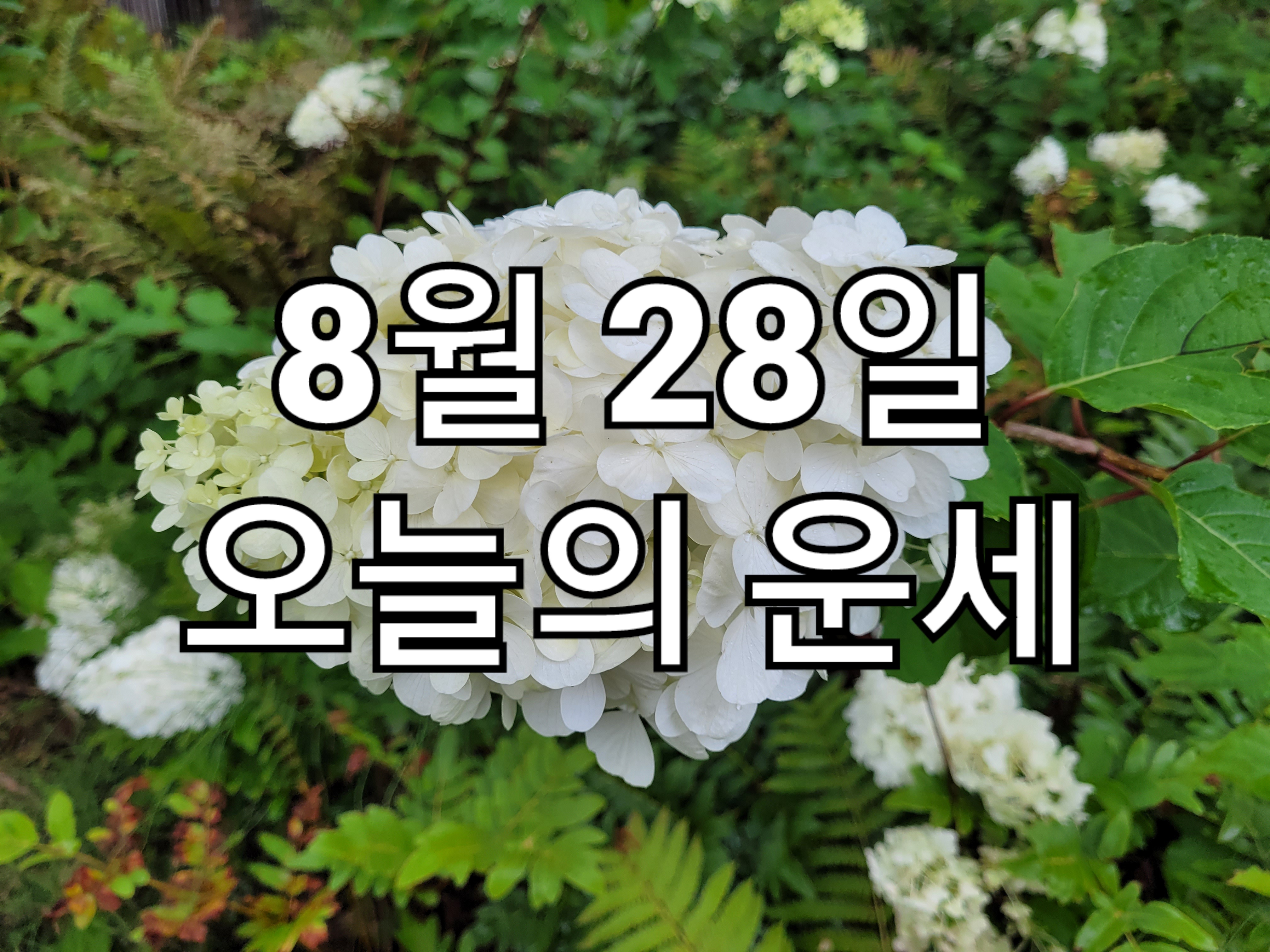  8월 28일 오늘의 운세 띠별운세