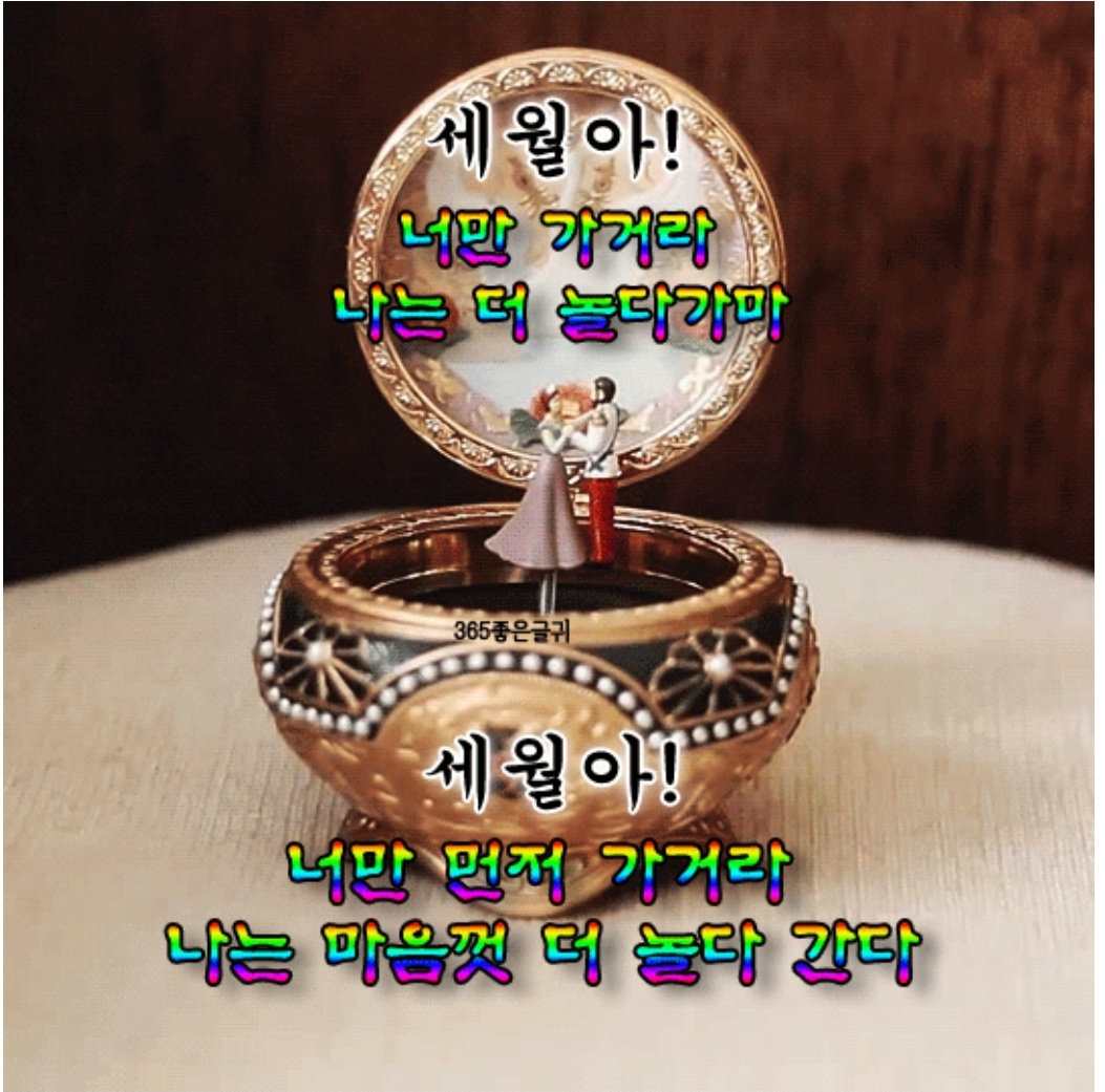  좋은글]벌써 12월이 저물어 가는데 "세월아 너만 가거라!"