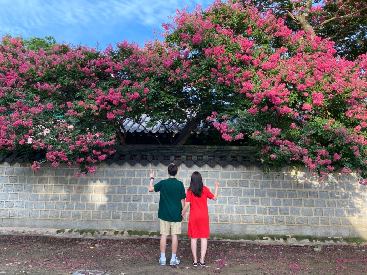  전주 경기전 한옥마을 인생사진 건져보자