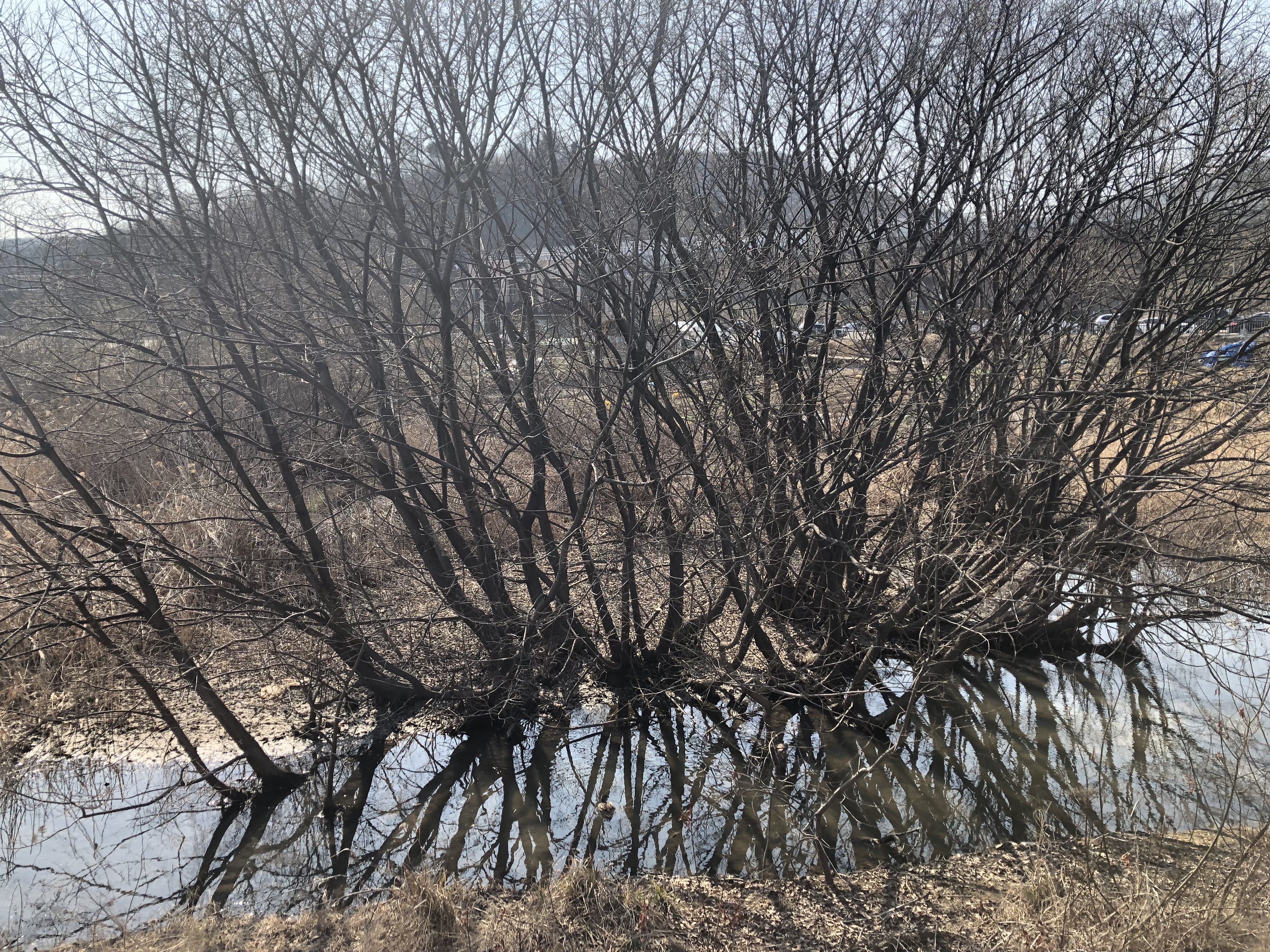  엄마와 함께 산책을