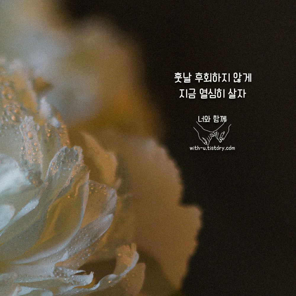  훗날 명언 : 짧고 좋은 글귀 : 짧은 명언