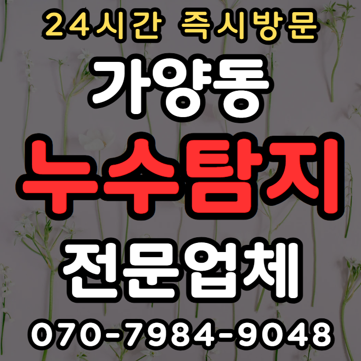 가양동 누수탐지 전문가1