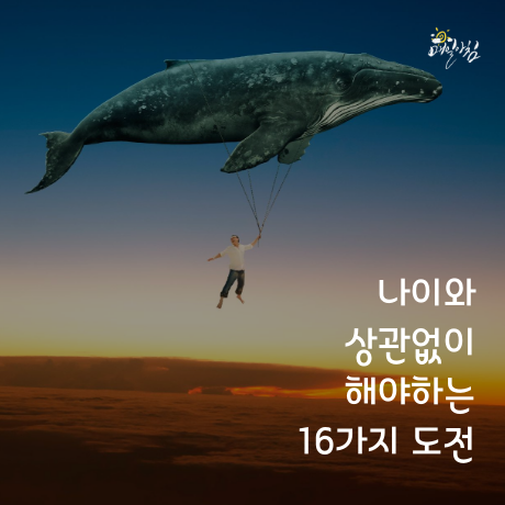  [매일아침좋은글] 나이와 상관없이 해야하는 16가지 도전