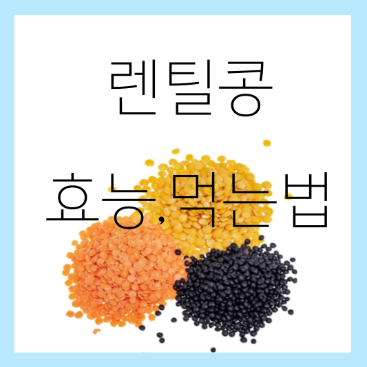 렌틸콩 효능 먹는법 썸네일