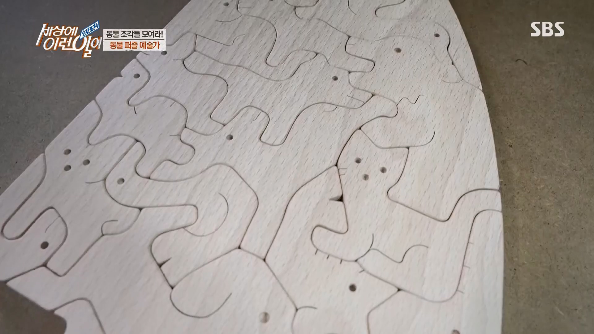 순간포착 세상에 이런일이.E1229.230509p.H264-F1RST.mp4_20230510_194451.078.jpg