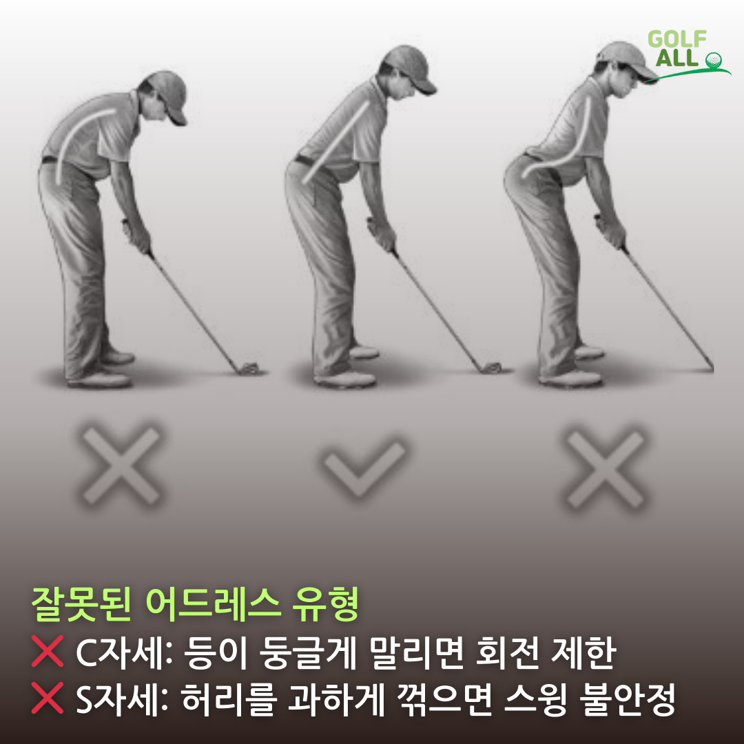 어드레스골프 이미지