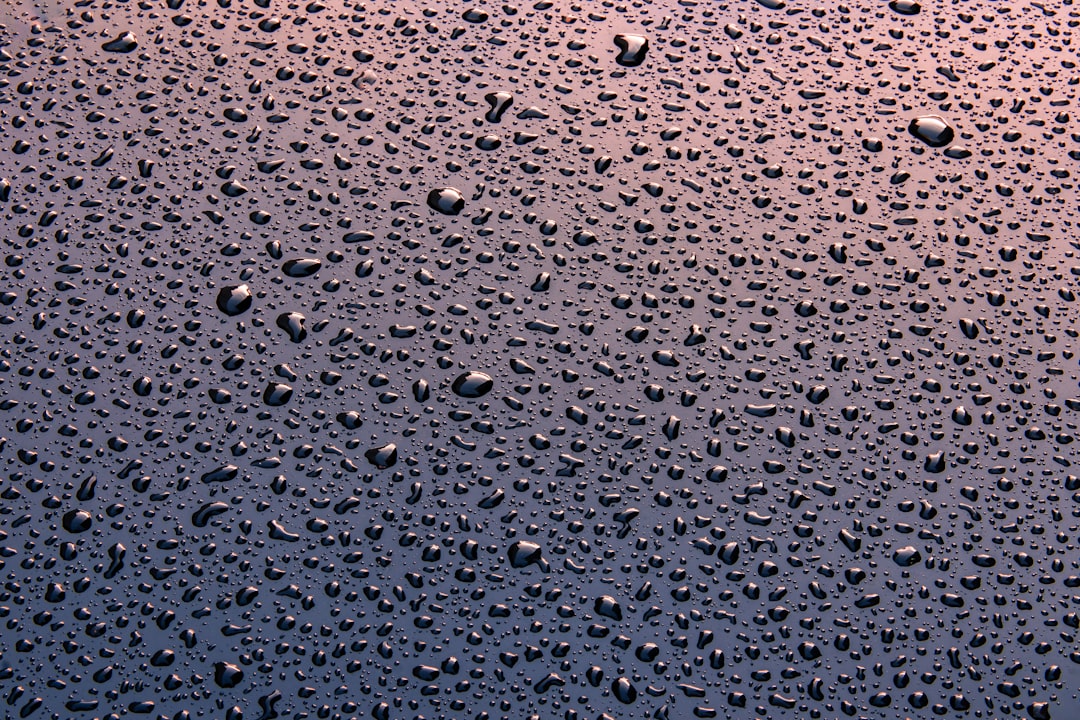 Moisture