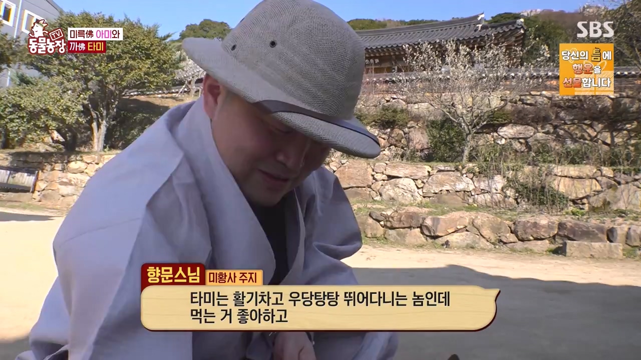 TV 동물농장.E1168.240422p-NEXT.mp4_20240421_170933.328.jpg