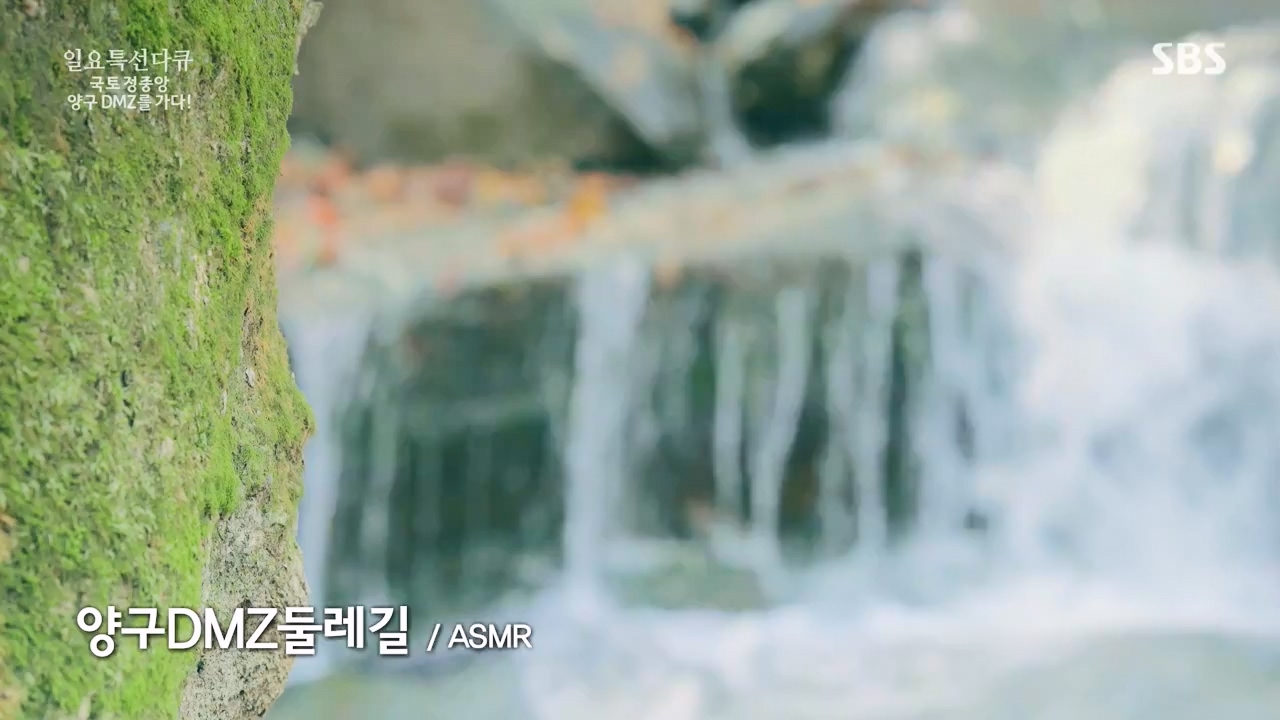 일요특선 다큐멘터리.E344.231204p-NEXT.mp4_20231206_194836.596.jpg