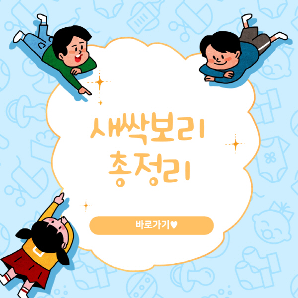 새싹보리-분말-효능-부작용-먹는법