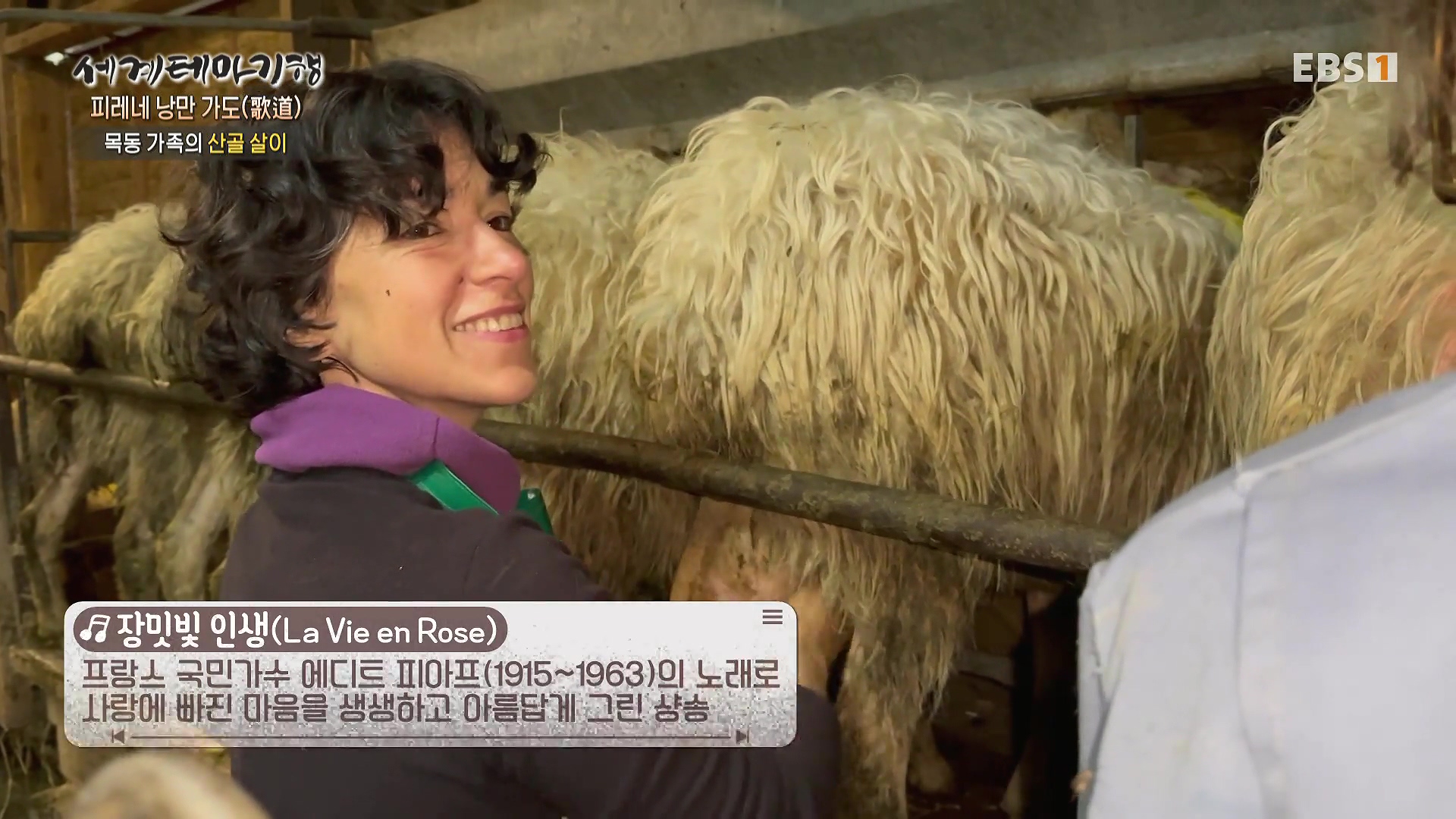 세계테마기행 231225 피레네 낭만 가도(歌道) -요정의 길을 따라, 비뉴말 트레킹0p.mp4_20240628_203840.530.jpg