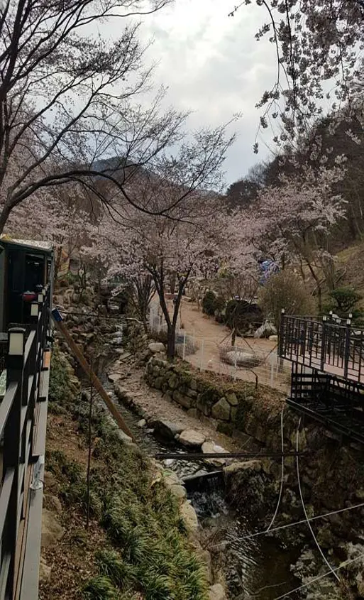 초원숲속글램핑