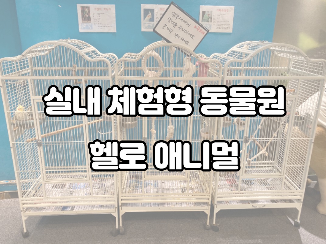  지빈파파의 가족과 음악 이야기