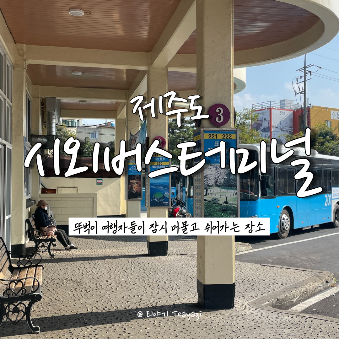 제주 Jeju | 제주 시외버스터미널 노선도 및 시간표 총정리 (feat. 제주 시내에서 애월 가는 방법)