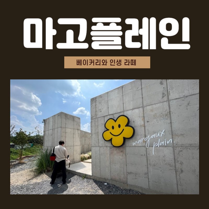  [경산카페] 베이커리 맛집 마고플레인 대구대삼거리점 내돈내산 후기