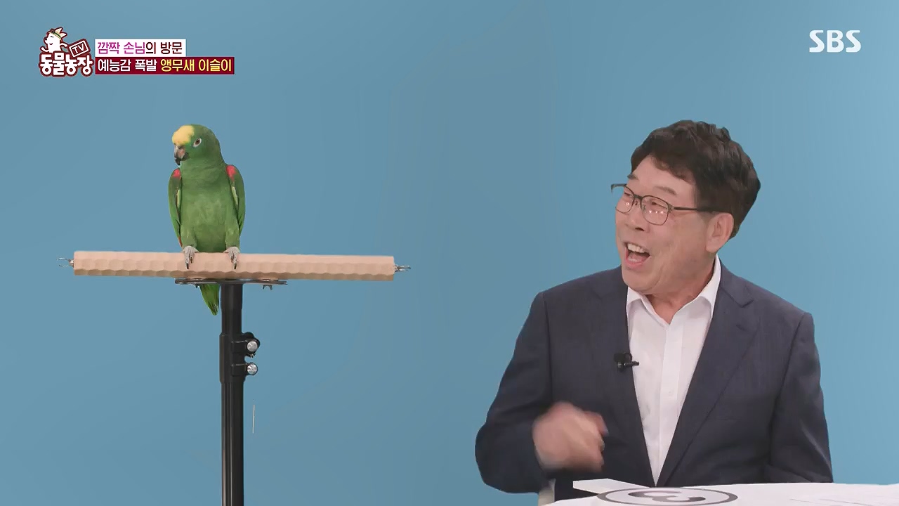 TV 동물농장.E1199.241201 - Joovideo-1.mp4_20241201_155011.203.jpg