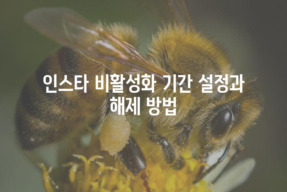 API 할당량 초과 오류 4