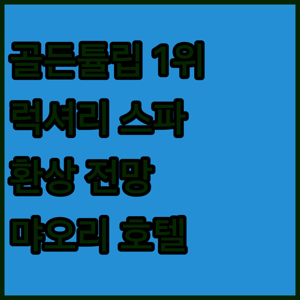 골든 튤립 아에스테틱스 먀오리 1위 