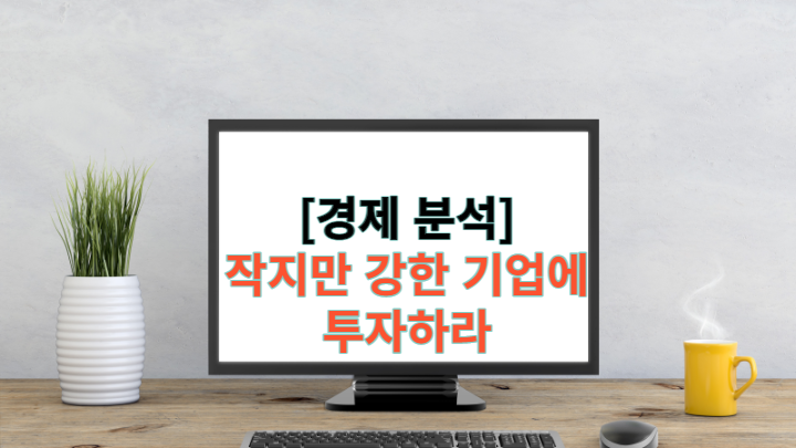  [경제분석] 작지만 강한 기업에 투자하라 - 책 리뷰