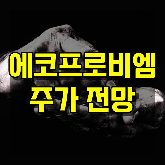 에코프로비엠 주가 전망