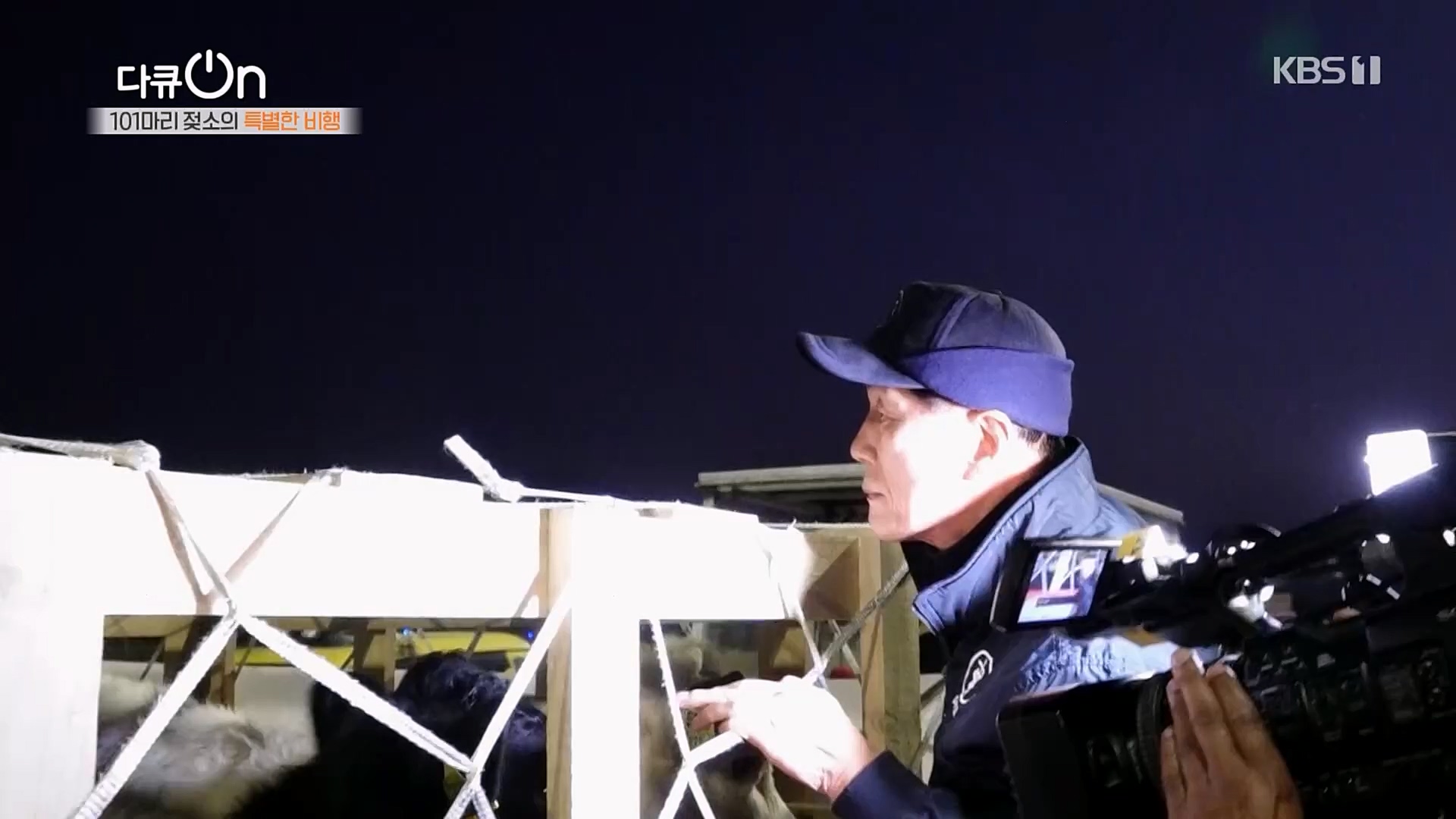 다큐 On.E184.230203p.H264-F1RST.mp4_20230211_175651.881.jpg