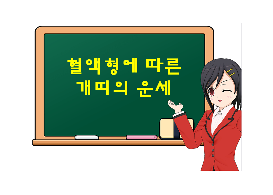  개띠, 혈액형에 따른 운세가 궁금하다면?