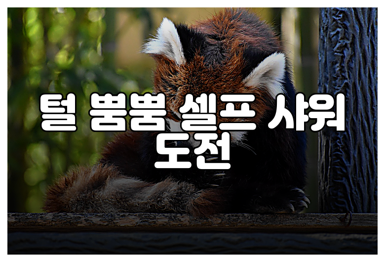 털 뿜뿜 셀프 샤워 도전