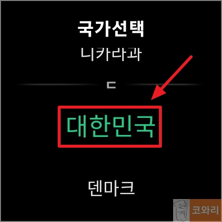 스마트캐디 해외