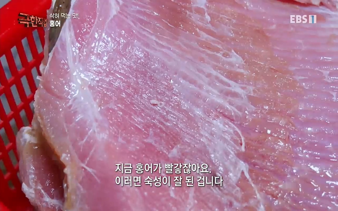 TV - 교육의 중심 EBS삭혀 먹는 맛! 홍어와 가자미.mp4_20220515_182948.730.jpg