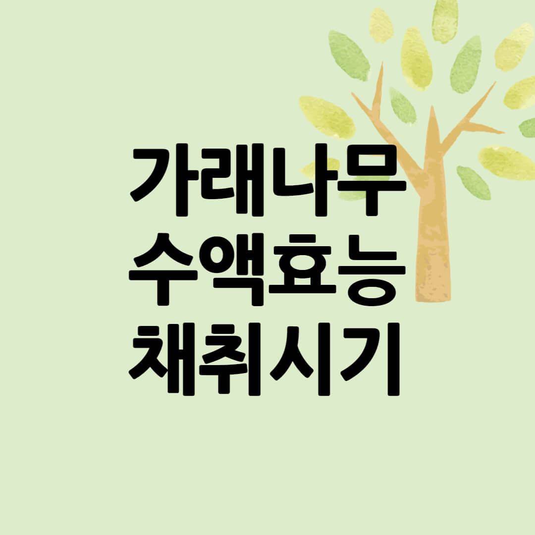 가래나무_수액_효능_제목_이미지