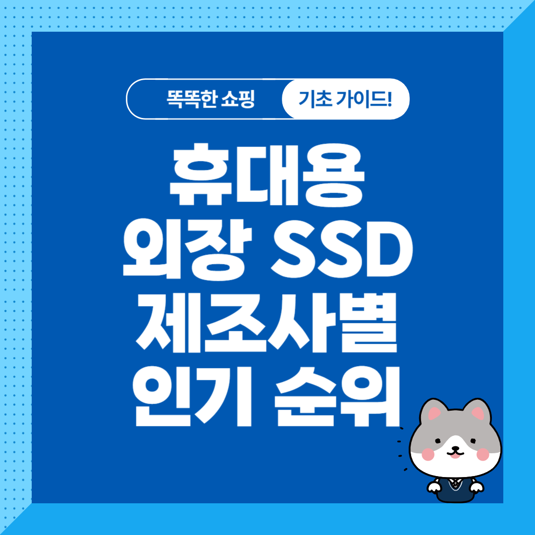 휴대용 외장 SSD 제조사 추천 순위 비교