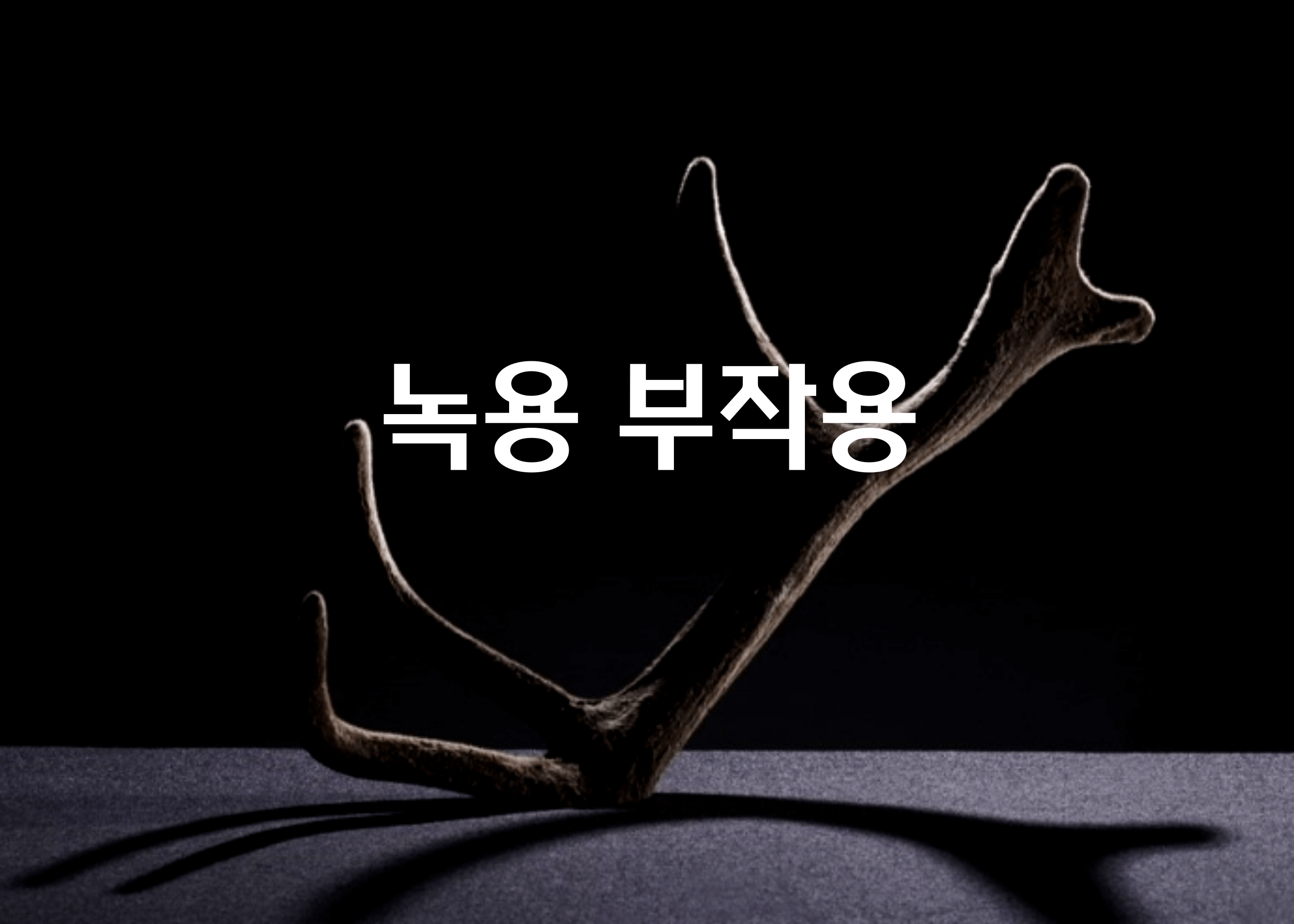 녹용 부작용