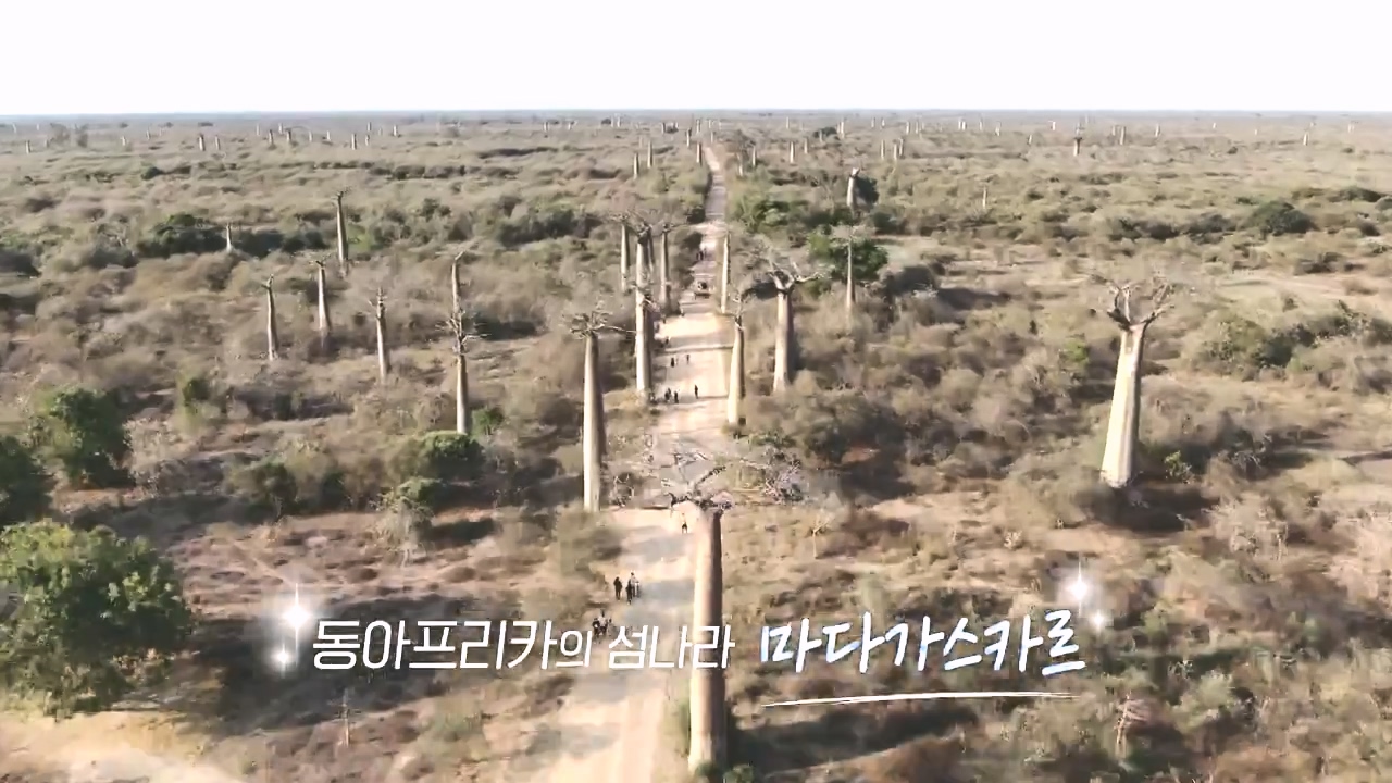 걸어서 세계속으로.E814.231022p-NEXT.mp4_20231022_164316.996.jpg