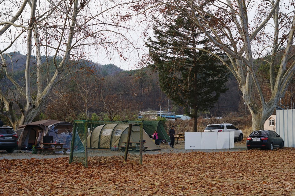 천문대체험학교캠핑장 32