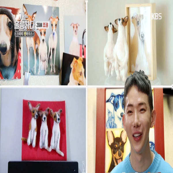  조권과 반려견의 일상