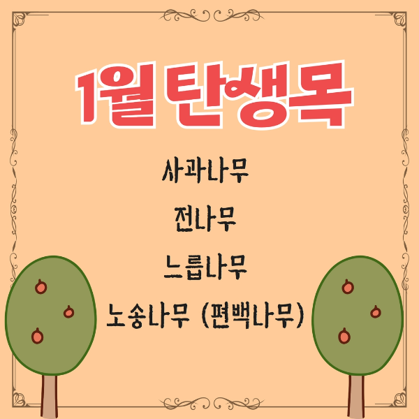  1월 탄생목-사과나무, 전나무, 느릅나무, 노송나무(편백나무)