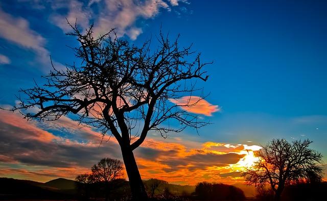 blog-image