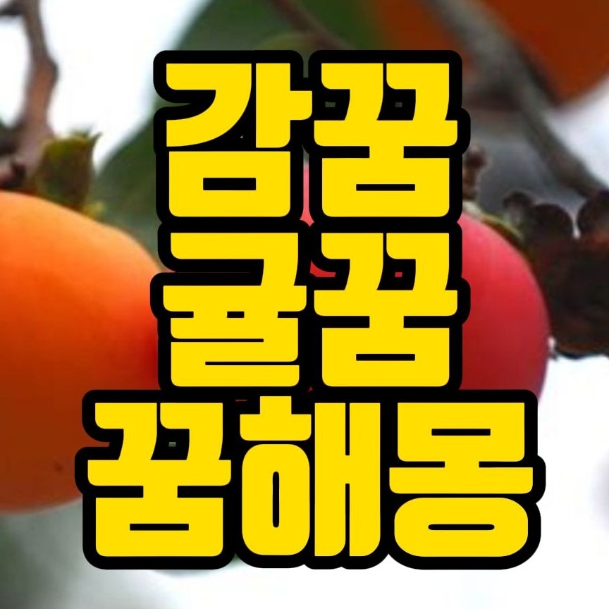 [꿈해몽] 감나무꿈,감따는꿈,감먹는꿈,밀감꿈,귤나무꿈,귤먹는꿈 관련 꿈풀이