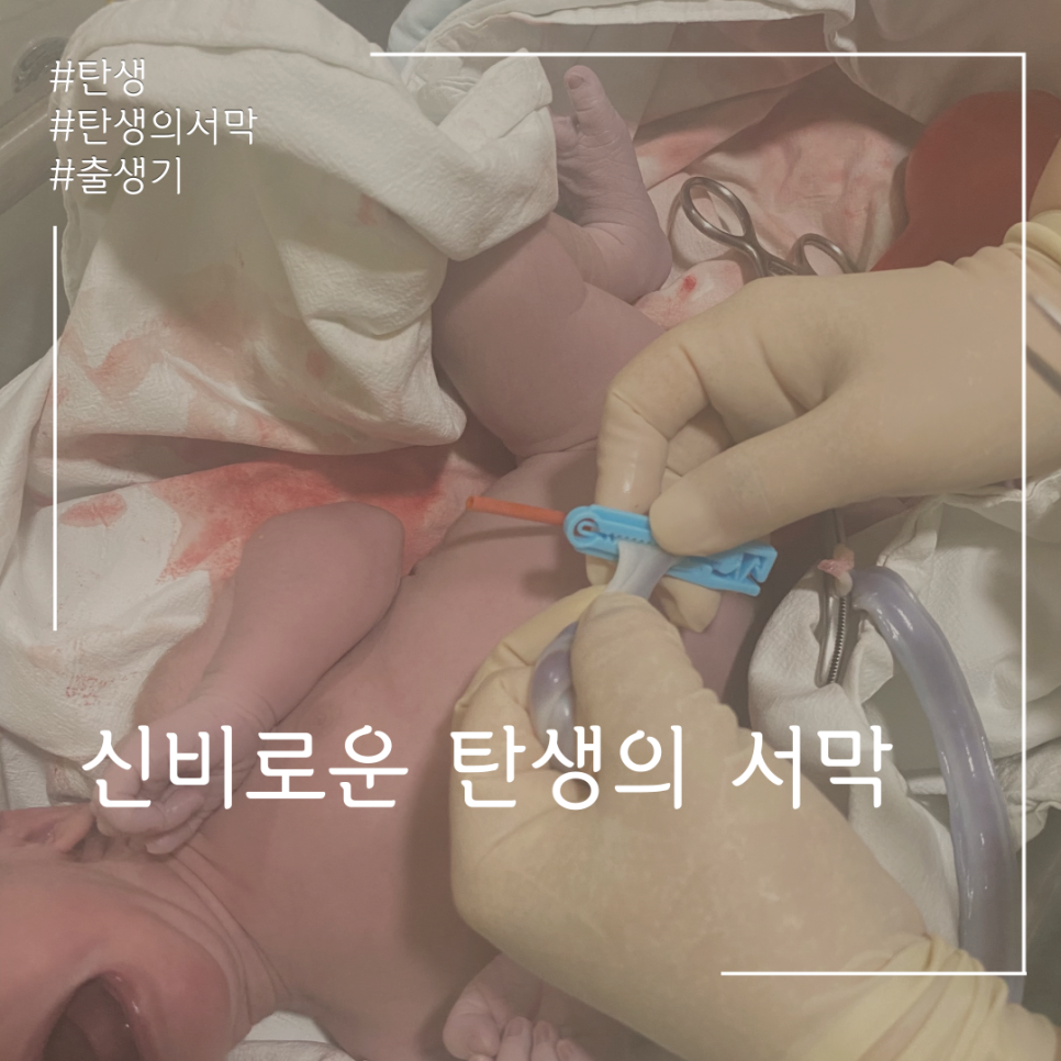 2021년 소띠아가 찰떡이의 탄생.