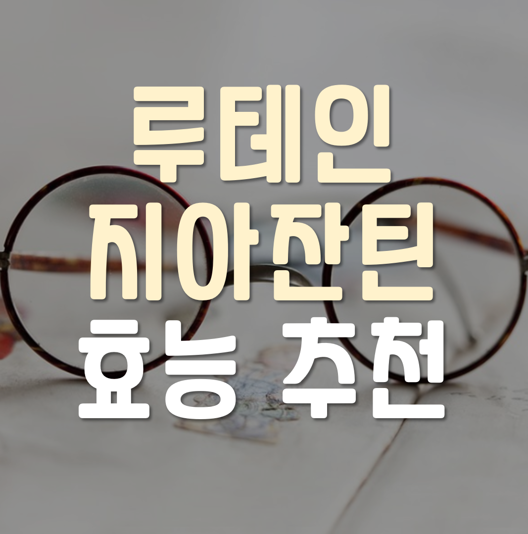  루테인 지아잔틴 효능 추천