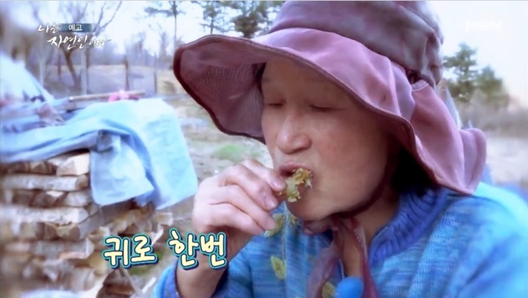 튀김-먹는-자연인