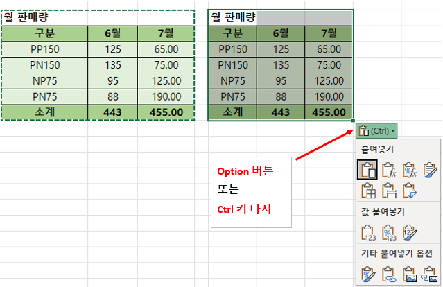 Ctrl+V의 여러 옵션