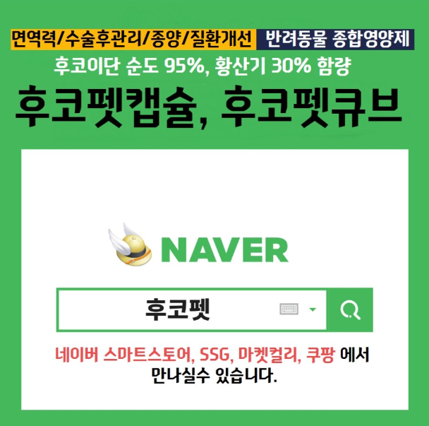 고양이 호흡 보조제/상부 호흡기 증후군/후코이단 푸코펫 9