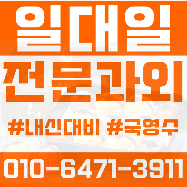  성남 수내동 초등영어과외 중학생수학과외 선행 예습 복습