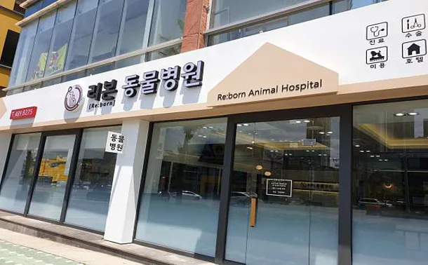 리본동물병원