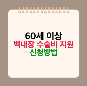 60세 이상 백내장 수술 비용 지원 사업 신청 방법